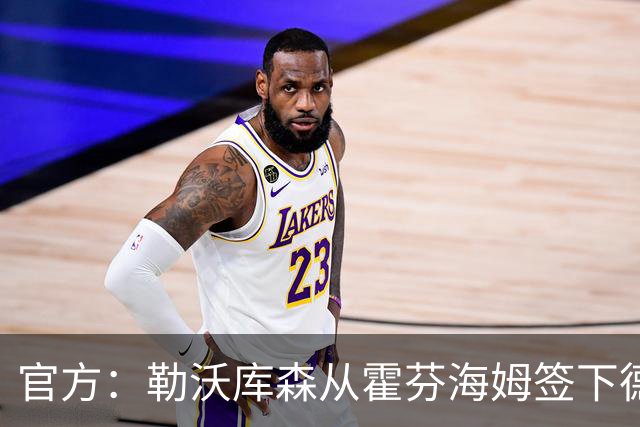 官方：勒沃库森从霍芬海姆签下德国U19国脚卢卡-埃尔莱因